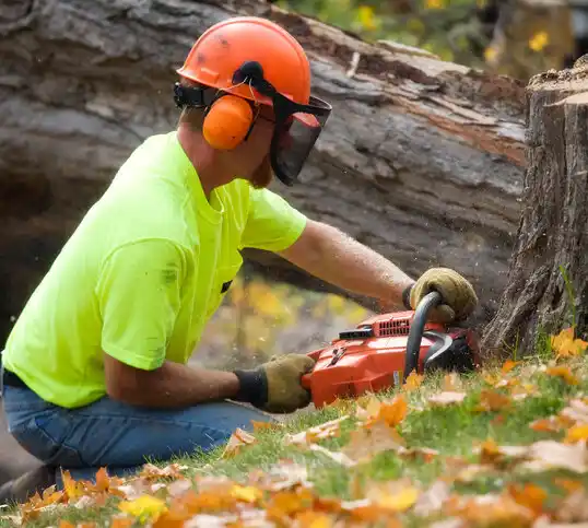 tree services Sheldon